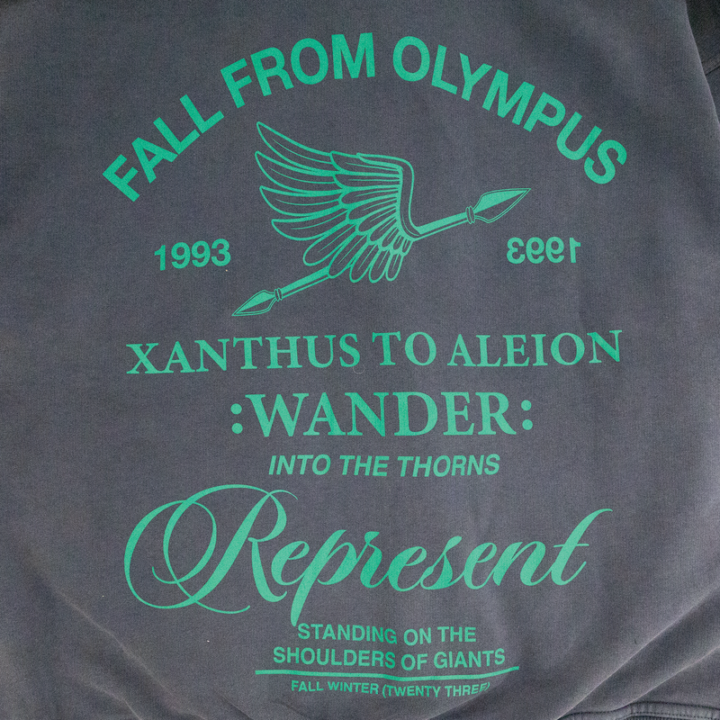 Represent Fall From Olympus Zip Hoodie MH4030-390