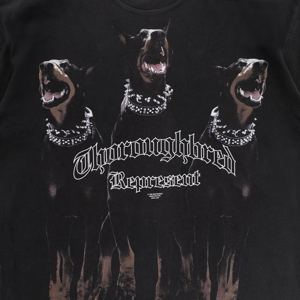 Represent Thoroughbred T-Shirt MLM499-03