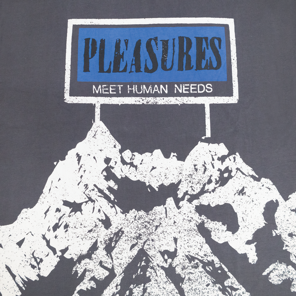 Pleasures Human Needs Heavyweight Shirts P23F029-Grey