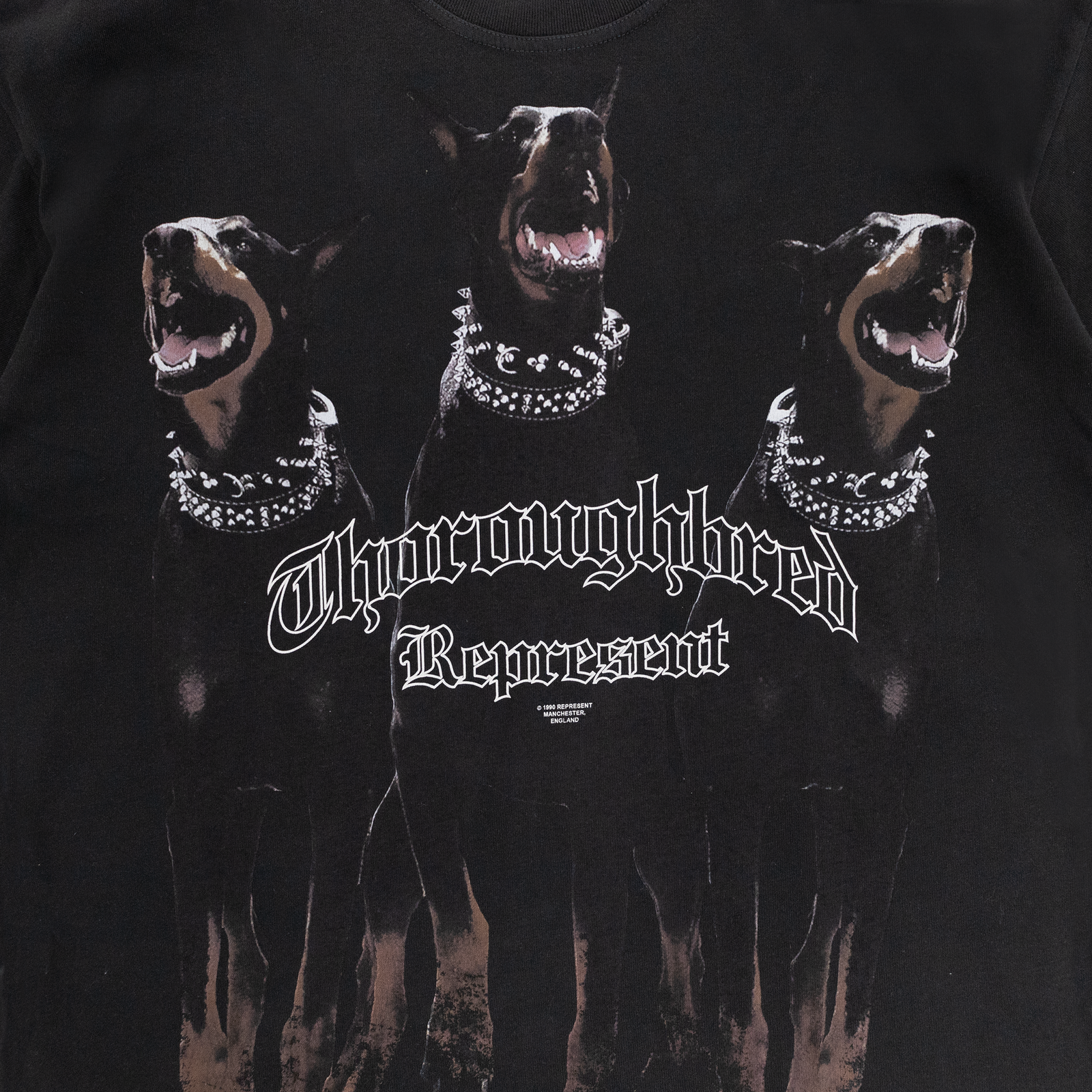 IMG-1814_1600x.png?v=1708645361