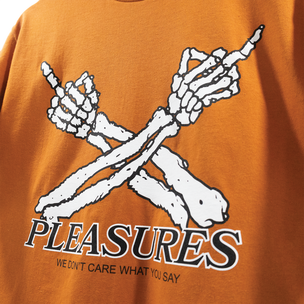 Pleasures Don't Care T-Shirt P23SP051